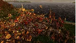 ❗ PORT ROYALE 4 - EXTENDED EDITION❗ XBOX ONE/X|S🔑 КЛЮЧ