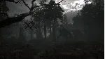 ✅ Stray Souls Xbox One & Xbox Series X|S активация