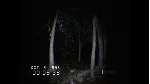 DON&acute;T SCREAM | Steam | Обновления | АВТОВЫДАЧА 24/7 - irongamers.ru