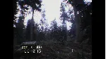 DON&acute;T SCREAM | Steam | Обновления | АВТОВЫДАЧА 24/7 - irongamers.ru
