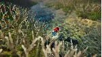 Bottle Can Float STEAM KEY REGION FREE GLOBAL ROW