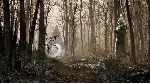 ☑ ️⭐The Talos Principle 2 XBOX⭐Покупка на🫵 Ваш акк⭐☑ ️