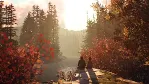 Life is Strange 2 - Complete Season XBOX Ключ