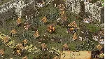 Stronghold: Definitive Edition АВТОДОСТАВКА STEAM GLOBAL МГНОВЕННО ЛИЦЕНЗИЯ - irongamers.ru