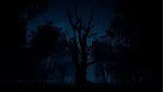 Slender: The Arrival XBOX SERIES X|S [ Ключ 🔑 Код ]