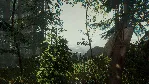 The Forest * STEAM РОССИЯ🔥 АВТОДОСТАВКА