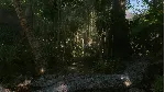 Crysis Remastered * STEAM РОССИЯ🔥 АВТОДОСТАВКА
