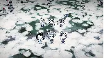 Don&acute;t Starve Together: Snowfallen Survivors Chest DLC - irongamers.ru