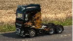 Euro Truck Simulator 2 - Raven Truck Design Pack DLC