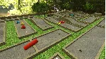 Tabletop Simulator * STEAM РОССИЯ🔥 АВТОДОСТАВКА