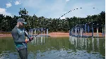 BASSMASTER FISHING 2022: SUPER DELUXE EDITION🔑 XBOX+PC