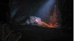 ❗ THE LORD OF THE RINGS: GOLLUM❗ XBOX ONE/X|S🔑 КЛЮЧ❗ 