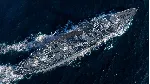 ✅ World of Warships Texas Pack DLC ⭐Steam\Мир*\Key⭐ + 🎁 