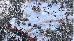AGE OF EMPIRES II: DEFINITIVE EDITION Dawn Dukes XBOX - irongamers.ru