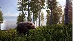 ❗ HUNTING SIMULATOR 2 - BEAR HUNTER 🔑 XBOX SERIES КЛЮЧ🔑 