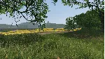 Fisher Online - China DLC * STEAM РОССИЯ АВТОДОСТАВКА - irongamers.ru