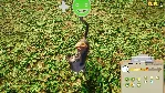 Animal Shelter * STEAM РОССИЯ АВТОДОСТАВКА - irongamers.ru