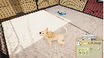 Animal Shelter - Puppies & Kittens DLC * STEAM RU - irongamers.ru