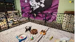 Animal Shelter - Puppies & Kittens DLC * STEAM RU - irongamers.ru