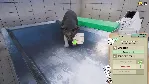 Animal Shelter - Vet Clinic DLC * STEAM🔥 АВТОДОСТАВКА