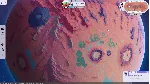 Plan B: Terraform * STEAM РОССИЯ🔥 АВТОДОСТАВКА