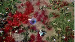 Greedland * STEAM РОССИЯ🔥 АВТОДОСТАВКА