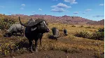 Way of the Hunter - Tikamoon Plains DLC * STEAM RU🔥 