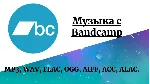 Музыка с Bandcamp. Сингл, Альбом, Дискография - irongamers.ru
