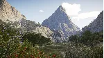 Call of the Wild: The Angler - Spain Reserve Steam RU - irongamers.ru