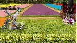 Farm Manager 2021 - Floriculture DLC * STEAM RU🔥 