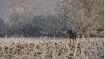theHunter: Call of the Wild™ - Labrador Retriever DLC - irongamers.ru