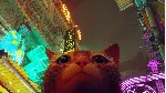 Stray (Steam) Оффлайн Активация Без очереди - irongamers.ru