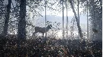❗ THEHUNTER: CALL OF THE WILD - MASTER BUNDLE❗ XBOX🔑 КЛЮЧ