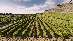 ❗ RAILWAY EMPIRE - FRANCE❗ XBOX ONE/X|S🔑 КЛЮЧ❗ 