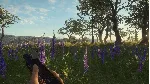 THEHUNTER CALL OF THE WILD - MODERN RIFLE PACK XBOX - irongamers.ru