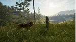 ❗ THEHUNTER: CALL OF THE WILD - BLOODHOUND❗ XBOX КЛЮЧ❗ 