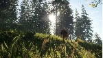❗ THEHUNTER: CALL OF THE WILD - BLOODHOUND❗ XBOX КЛЮЧ❗ 