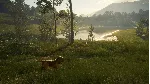 ❗ THEHUNTER: CALL OF THE WILD - BLOODHOUND❗ XBOX КЛЮЧ❗ 