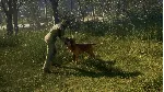 ❗ THEHUNTER: CALL OF THE WILD - BLOODHOUND❗ XBOX КЛЮЧ❗ 