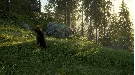 ❗ THEHUNTER: CALL OF THE WILD - BLOODHOUND❗ XBOX КЛЮЧ❗ 