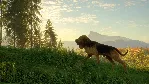 ❗ THEHUNTER: CALL OF THE WILD - BLOODHOUND❗ XBOX КЛЮЧ❗ 
