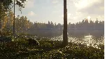 ❗ THEHUNTER: CALL OF THE WILD - LABRADOR RETRIEVER🔑 XBOX