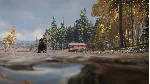 ❗ THEHUNTER: CALL OF THE WILD - LABRADOR RETRIEVER🔑 XBOX