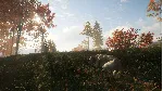 ❗ THEHUNTER: CALL OF THE WILD - LABRADOR RETRIEVER🔑 XBOX