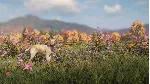 ❗ THEHUNTER: CALL OF THE WILD - LABRADOR RETRIEVER🔑 XBOX