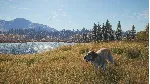 ❗ THEHUNTER: CALL OF THE WILD - LABRADOR RETRIEVER🔑 XBOX