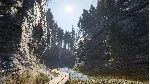 THEHUNTER: CALL OF THE WILD - REVONTULI COAST XBOX - irongamers.ru