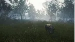 ❗ CALL OF THE WILD - TE AWAROA NATIONAL PARK❗ XBOX🔑 КЛЮЧ