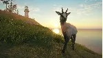 ❗ CALL OF THE WILD - TE AWAROA NATIONAL PARK❗ XBOX🔑 КЛЮЧ