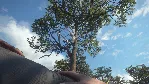 THEHUNTER: CALL OF THE WILD - TREESTAND & TRIPOD P - irongamers.ru